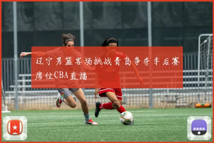 辽宁男篮客场挑战青岛争夺季后赛席位CBA直播