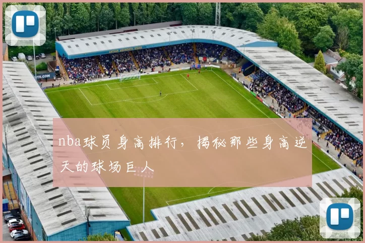 nba球员身高排行，揭秘那些身高逆天的球场巨人
