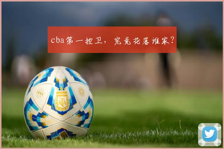 cba第一控卫，究竟花落谁家？