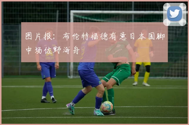 图片报:布伦特福德有意日本国脚中场佐野海舟