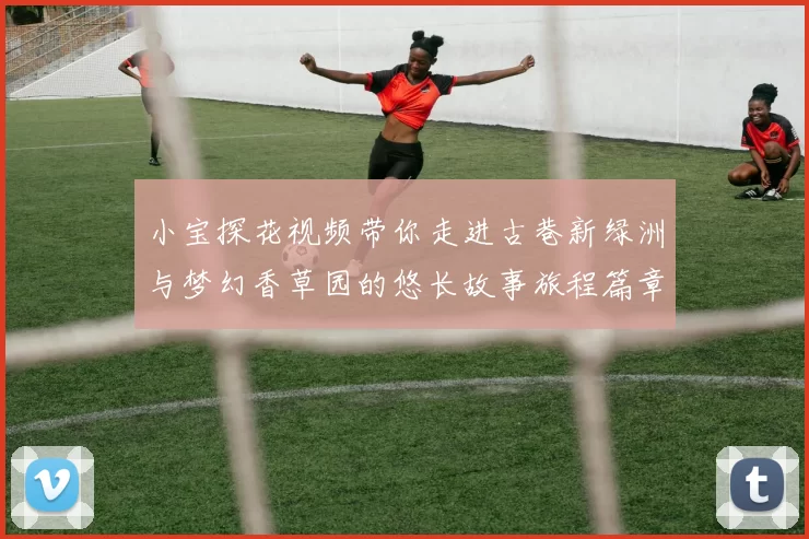 小宝探花视频带你走进古巷新绿洲与梦幻香草园的悠长故事旅程篇章