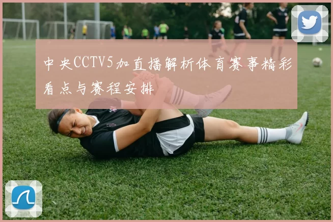 中央CCTV5加直播解析体育赛事精彩看点与赛程安排