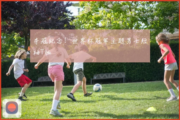 夺冠纪念!世界杯冠军主题男士短袖T恤