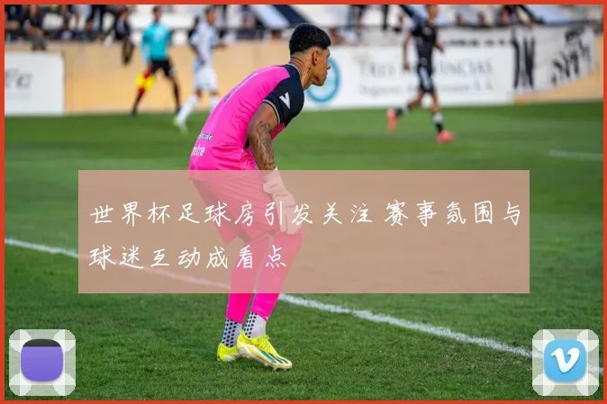 世界杯足球房引发关注 赛事氛围与球迷互动成看点